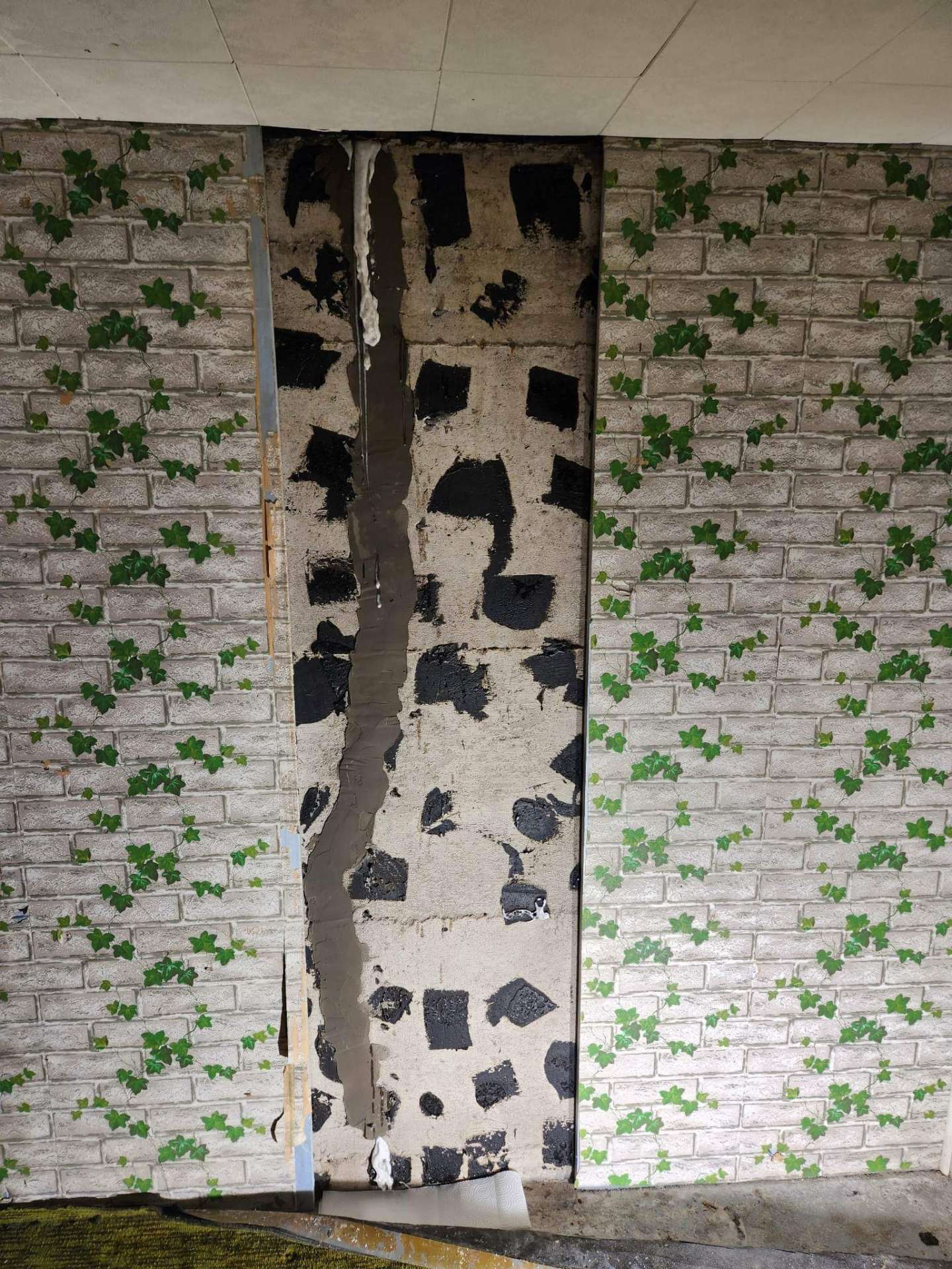 Fissures de fondation (2)